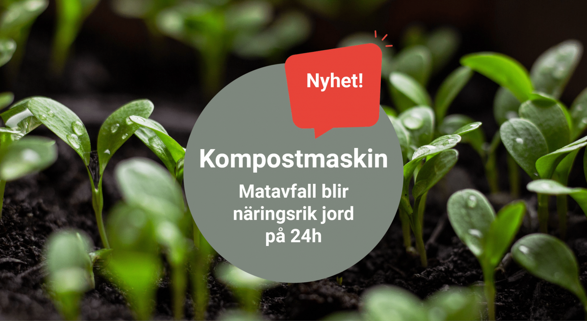 Featured image for “Nyhet! Kompostmaskin till kontoret”