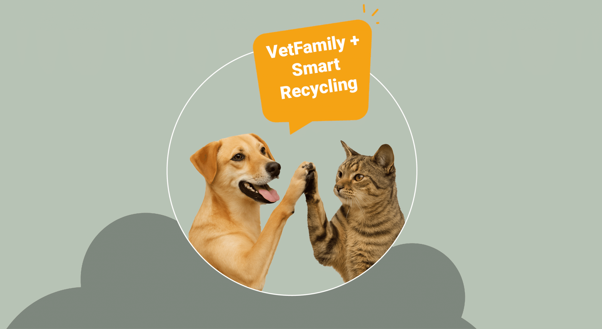 Featured image for “VetFamily + Smart Recycling 🐾”